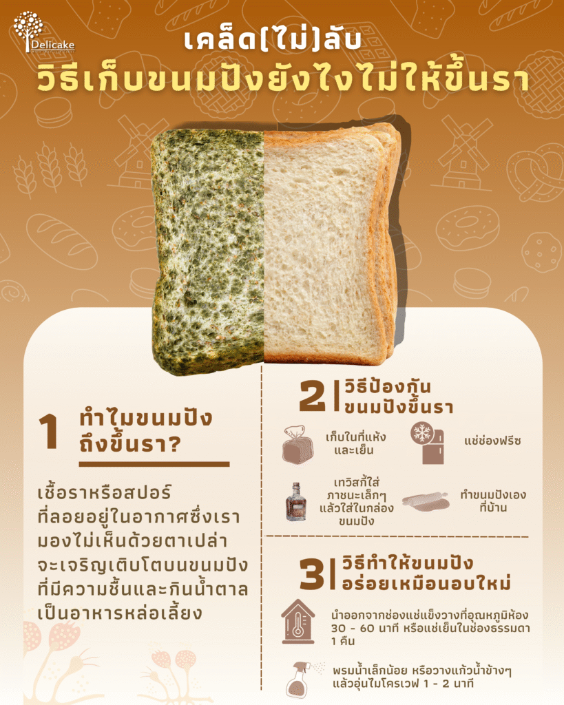 วิธีเก็บขนมปังไม่ให้ขึ้นรา วิธีเก็บขนมปังไม่ให้ขึ้นรา